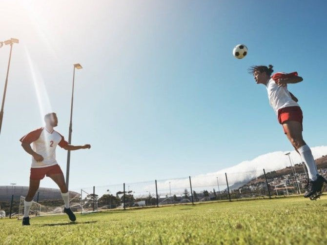 Is Your Brain on Fire? Stress and Injury Cause Microglial Cell Overactivation