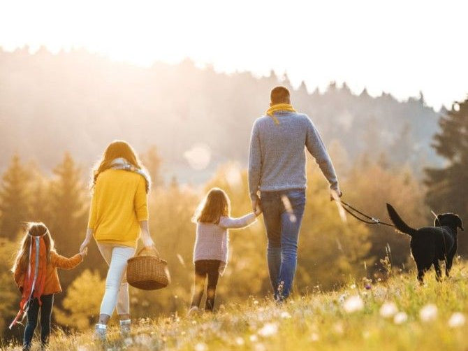 The Importance of Antioxidants for Pancreatic Health