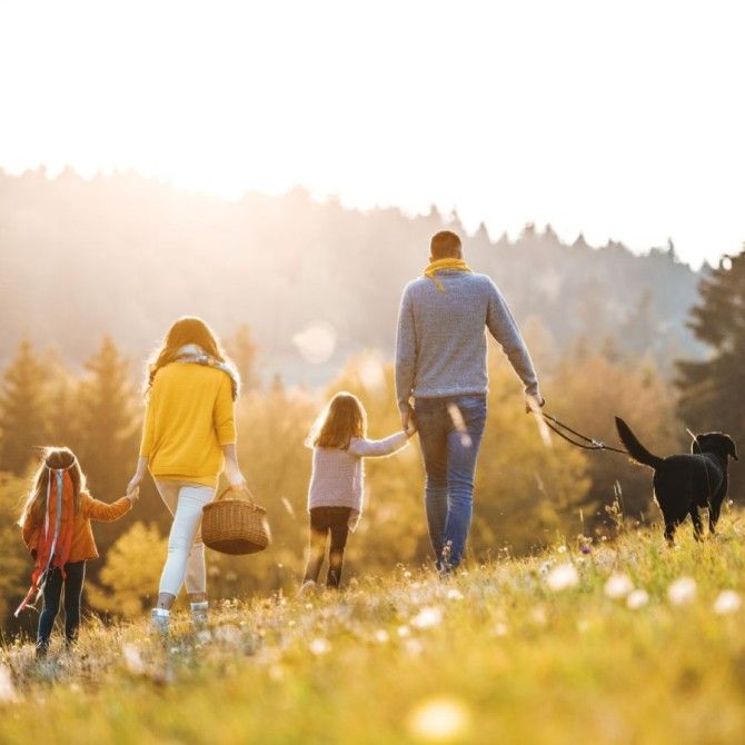 The Importance of Antioxidants for Pancreatic Health