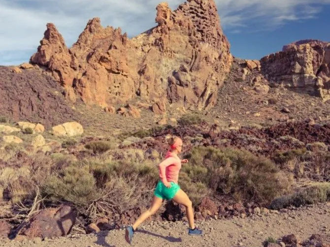 A Closer Look at GI & Muscle Helper's Nutritional Power