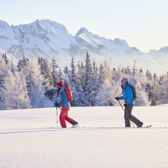 Boost Your Holiday Health: Tips for Mood, Digestion, Immunity, and More