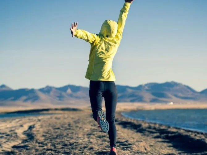 Functional Mushrooms Maitake and Cordyceps for Immune Health and Vitality