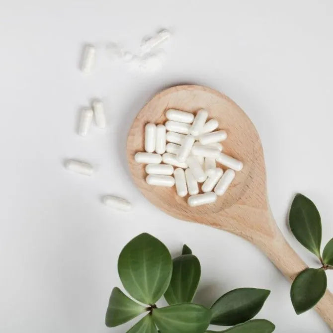 Pantethine: A New Finding for Immune Support