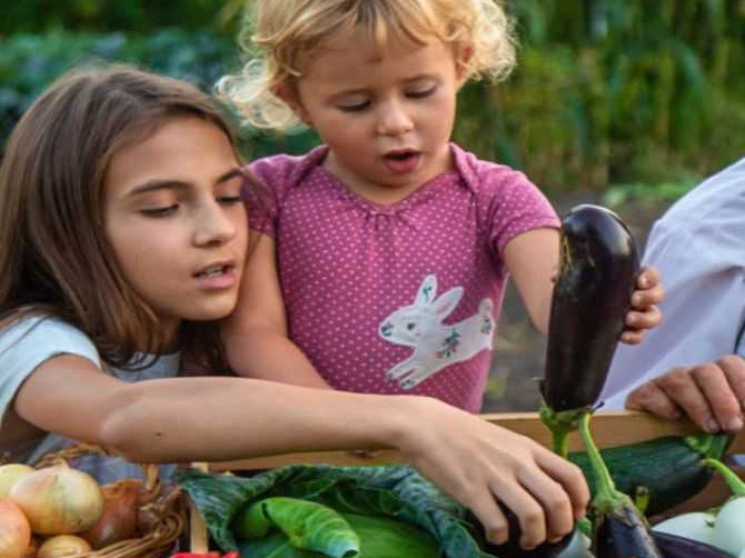 Gut Symptoms Precede Alzheimer's and Parkinson's Disease