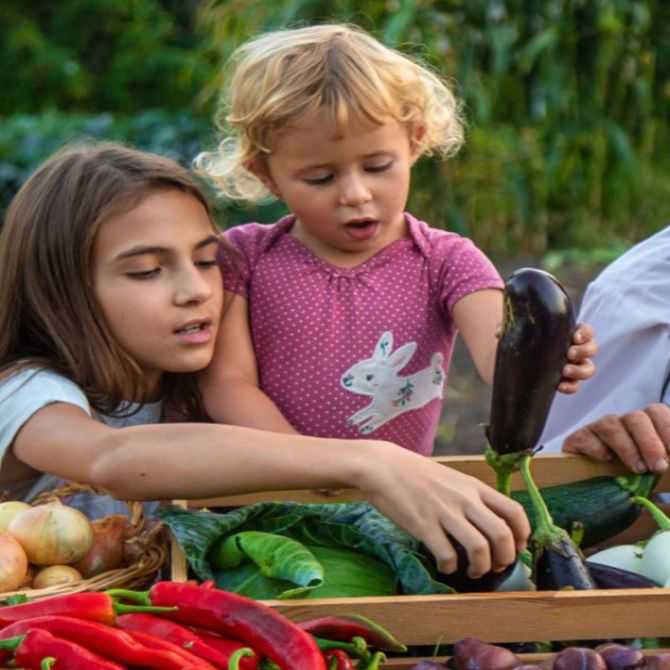 Gut Symptoms Precede Alzheimer's and Parkinson's Disease