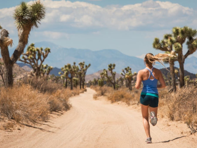 Power Up: How Mitochondrial Health Influences Aging and Vitality