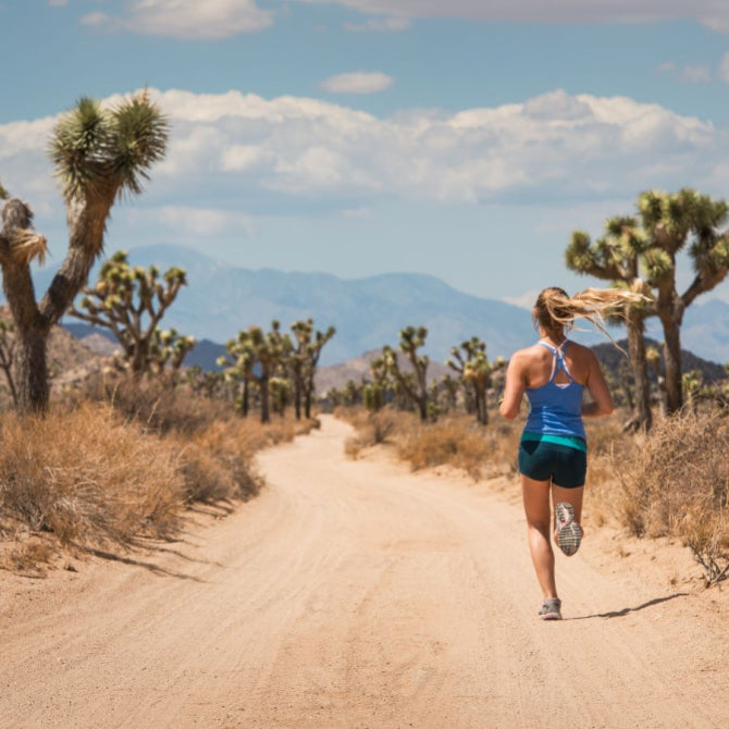 Power Up: How Mitochondrial Health Influences Aging and Vitality