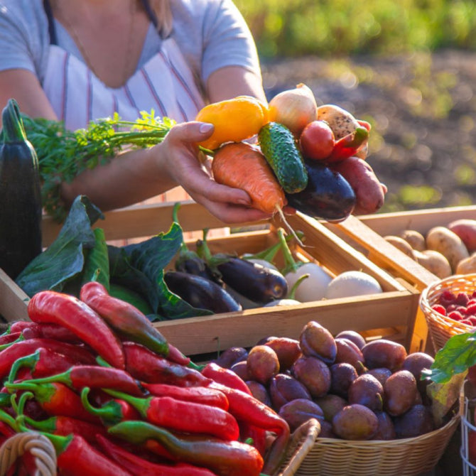 Ultra-Processed Foods Destroy Your Health