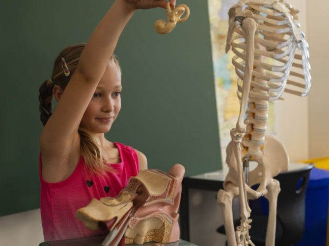 Body Trivia: Discover the Amazing Facts About Your Body