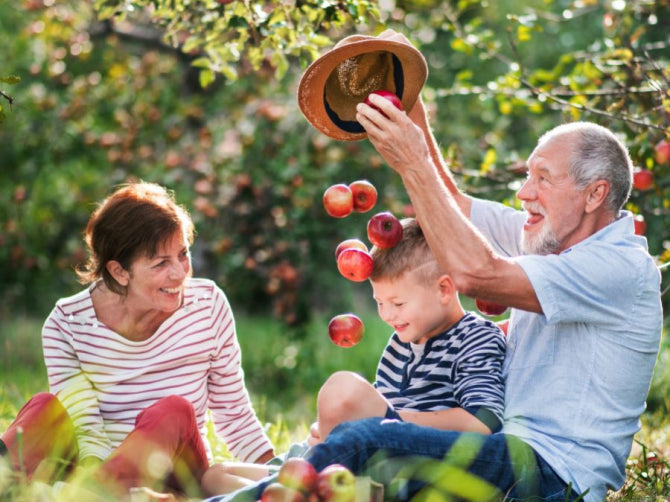 Do You Need a Multivitamin? What Science Says About Brain Health and Memory