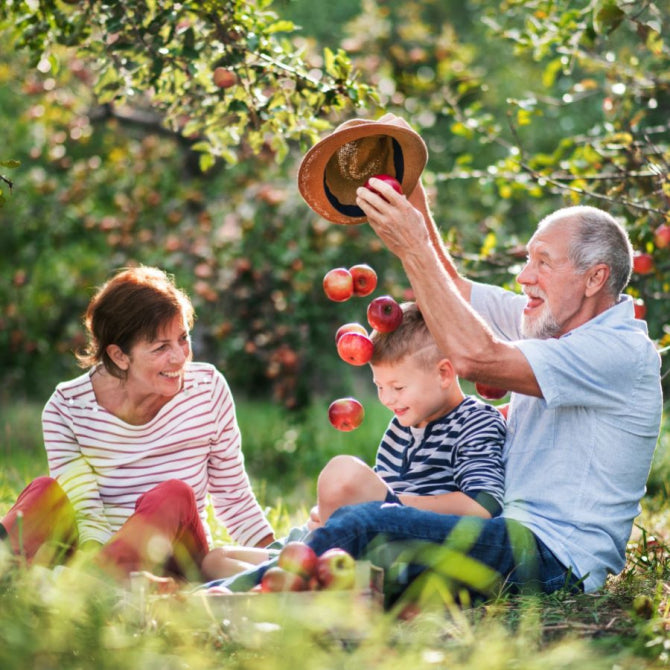 Do You Need a Multivitamin? What Science Says About Brain Health and Memory