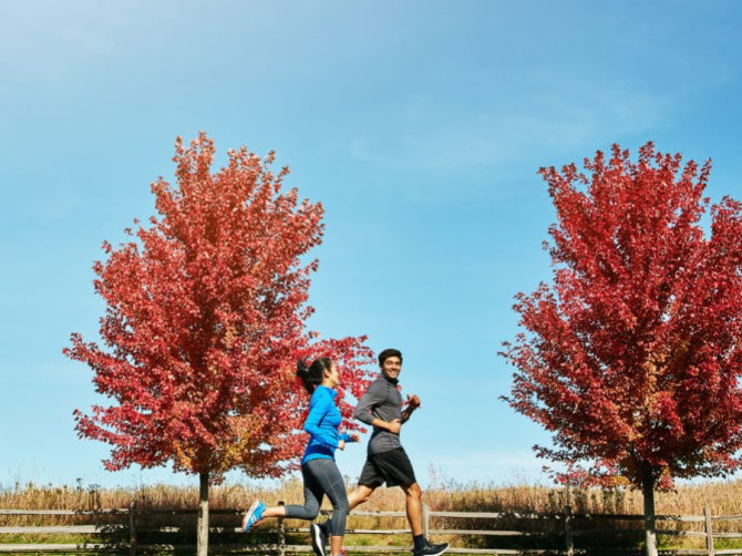 MTHFR Gene and The Importance of Methyl B12 and Methyl Folate