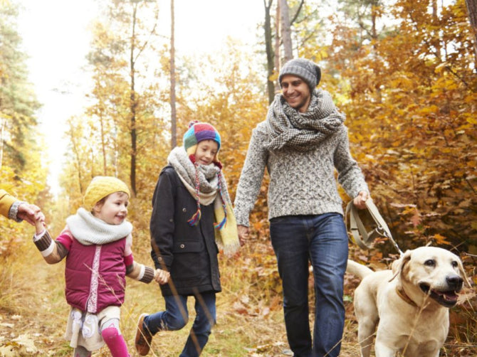 Protect Your Gut Mucosal Barrier for Immune Health and Vitality