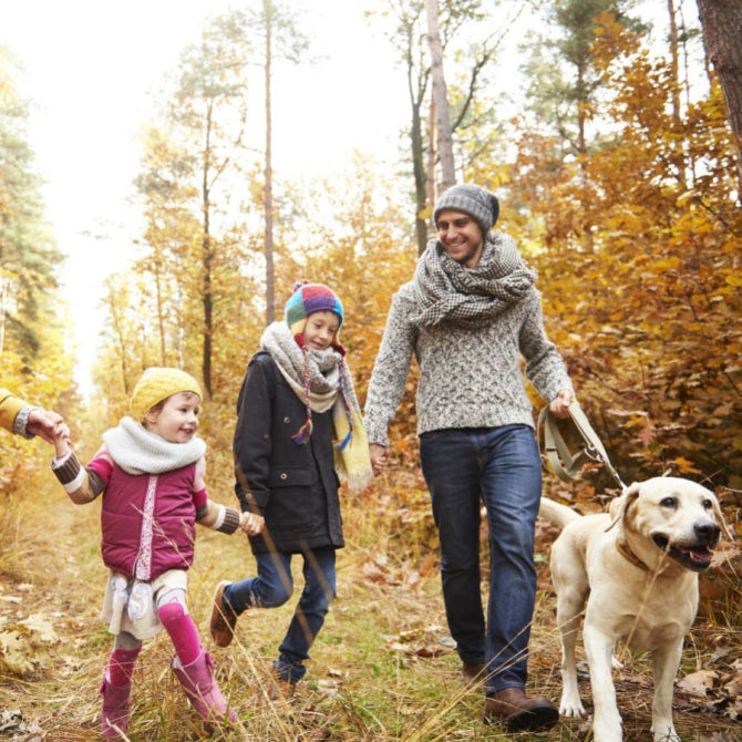 Protect Your Gut Mucosal Barrier for Immune Health and Vitality