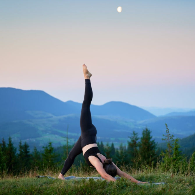 Arabinogalactan Boosts Lymph Flow and Immunity