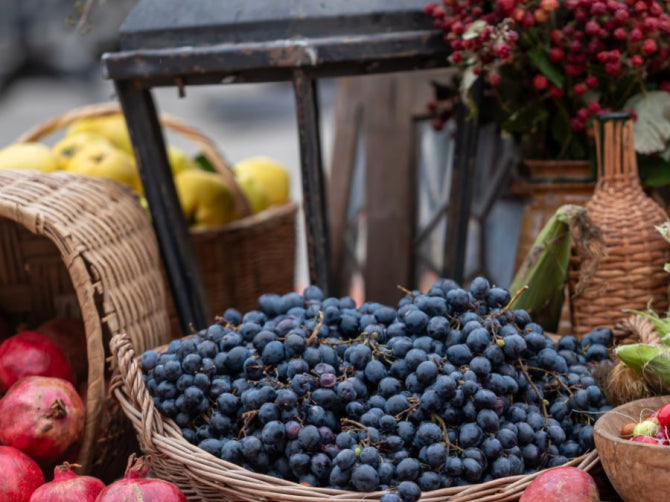 Pterostilbene: A Timeless Health Tonic for Longevity and Vitality