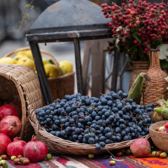 Pterostilbene: A Timeless Health Tonic for Longevity and Vitality