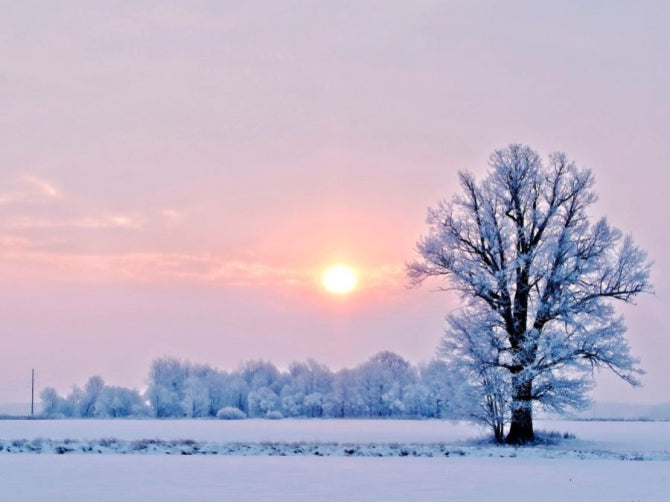 Beat the Winter Blues: 6 Key Nutrients to Keep Up Your Mood and Energy