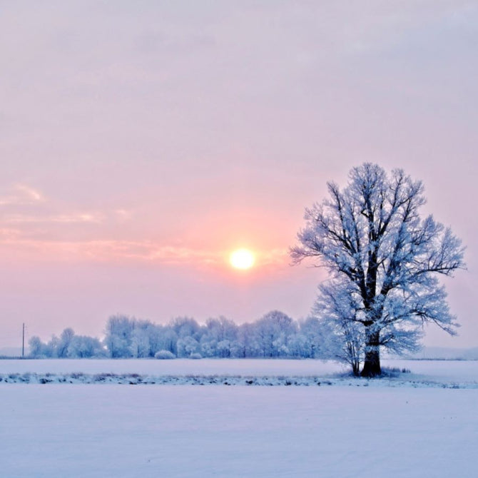 Beat the Winter Blues: 6 Key Nutrients to Keep Up Your Mood and Energy