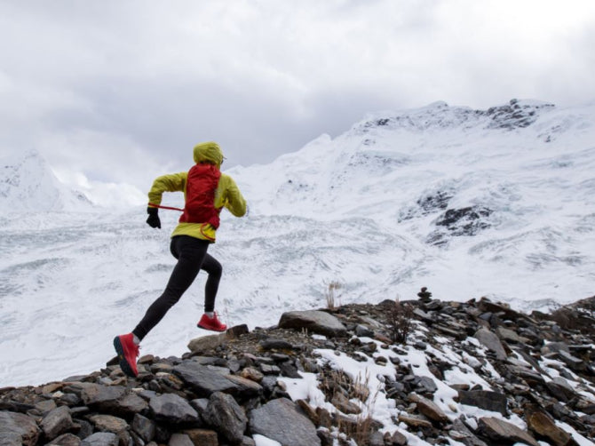 The Gut-Heart Connection: How Your Microbiome Impacts Cardiovascular Health