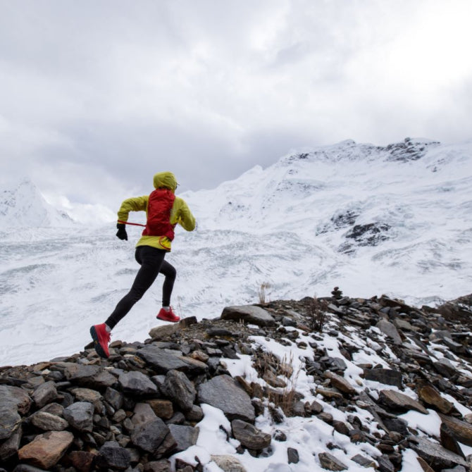 The Gut-Heart Connection: How Your Microbiome Impacts Cardiovascular Health