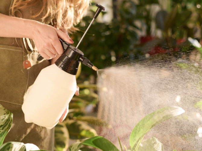 How Pesticides Disrupt Gut, Brain, Heart, and Hormones