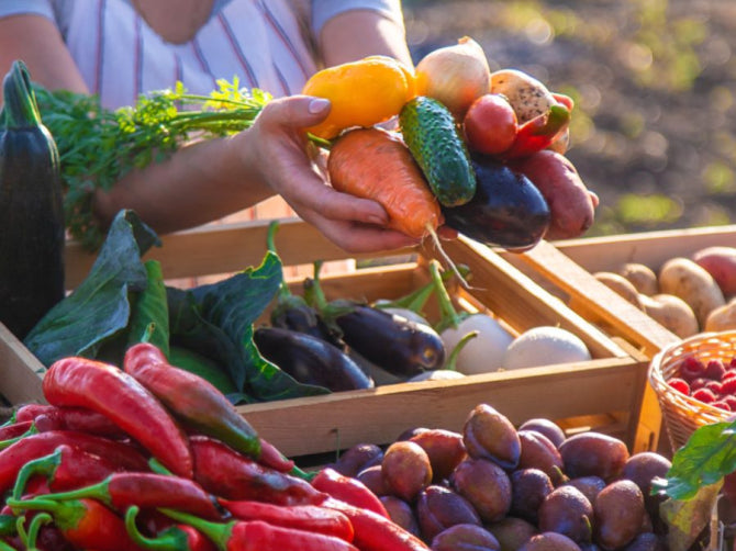 More Than a Probiotic: Why Synbiotics Matter