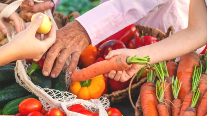 Memory and Cognitive Longevity: Astrocytes