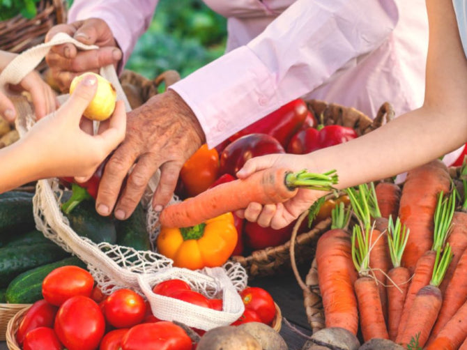 Memory and Cognitive Longevity: Astrocytes