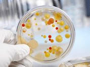 Digestive Alert – Thyroid, Celiac, and Candida