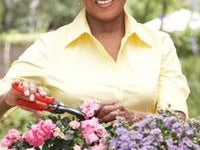 Pfizer – Lipitor Suit Moves Forward while Officials Flee the Law in Nigeria