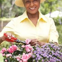 Pfizer – Lipitor Suit Moves Forward while Officials Flee the Law in Nigeria