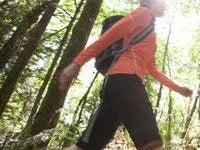 Researchers Document the Dangers of Statins