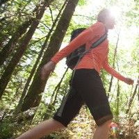 Researchers Document the Dangers of Statins