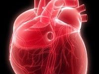 Obama Tries to Sneak Major Health Care Reform into the Stimulus Bill