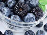 Vytoringate Builds Steam – Folic Acid Ignored