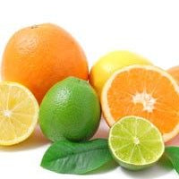 Protein and Fiber: The Foundation for Healthy Weight Loss