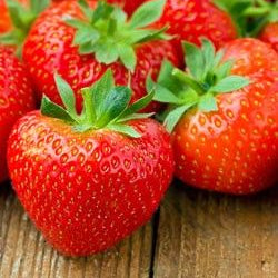 The Facts on Magnesium Stearate