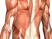 More Proof that Statins Damage Muscles in Many People Taking Them