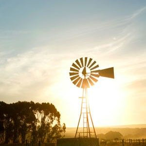 Estrogen Therapy Increases Risk of Ovarian Cancer