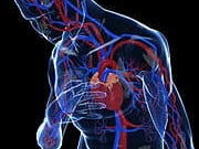 Women with Hot Flashes at Extreme Risk of Heart Attack if Using HRT