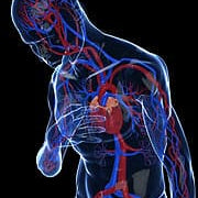 Women with Hot Flashes at Extreme Risk of Heart Attack if Using HRT