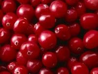 Will Drinking Milk Help You Live Longer?