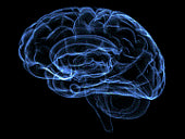 Slow Down & Take Smaller Bites