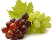 Consistent Intake of Grape Seed Extract is Best for Your Brain