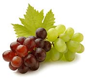 Consistent Intake of Grape Seed Extract is Best for Your Brain