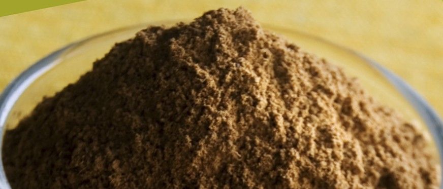 Quercetin for Nerves, Allergies, Immunity, and Metabolism