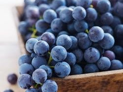 Psych Meds Increase Risk for Preterm Delivery