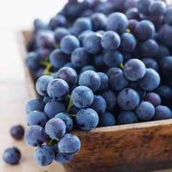 Psych Meds Increase Risk for Preterm Delivery