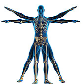 Linking Appetite and Parkinson's